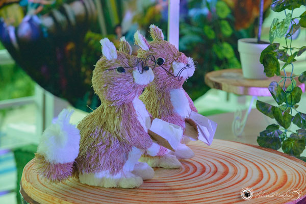 Image gallery marquee