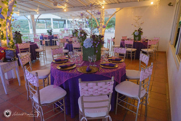 Image gallery marquee